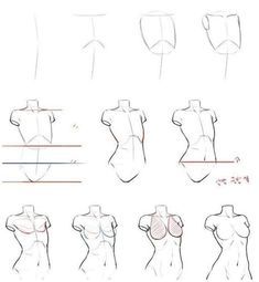 drawing female torsos with different angles and positions