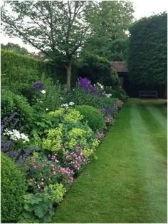 a lush green lawn surrounded by flowers and trees