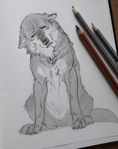 a pencil drawing of a wolf sitting down