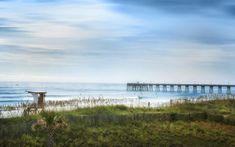 a beach with a pier in the background and grass on the foreground, and palm trees to the right