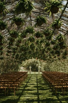 an outdoor ceremony setup with rows of chairs and greenery hanging from the ceiling above