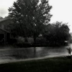 a black and white photo of a tree in the rain