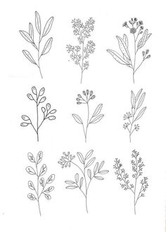 the different types of flowers are shown in this hand drawn drawing technique, which is easy to draw and can be used for many projects