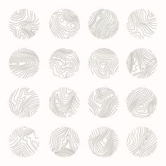 twelve fingerprints in different shapes on a white background