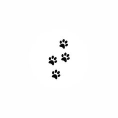 two dogs paw prints are shown in the middle of a white background with black ink