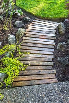 a wooden walkway in the middle of some rocks and grass with plants growing on it