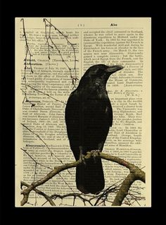 a black bird sitting on top of a tree branch in front of an old book page