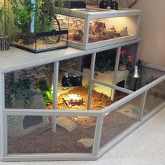 an indoor terrarium with plants, rocks and gravel in the bottom part of it