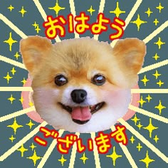 an image of a dog with stars in the background