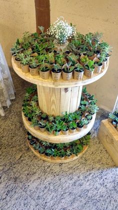 three tiered wooden planter filled with succulents and greenery plants