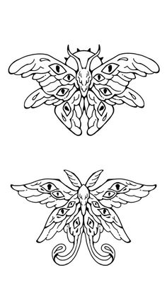 two butterfly designs on white background