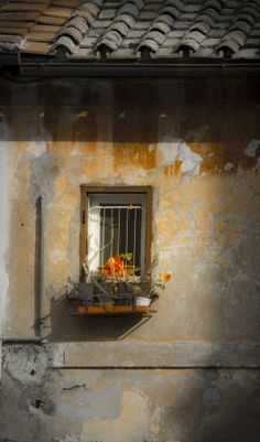 an old building with a window that has flowers in it