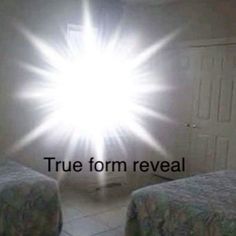 two beds in a room with the words true form reveal