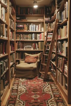 a room with many bookshelves and a ladder