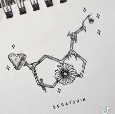 an ink drawing of two flowers and the word seratonin written in cursive writing