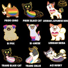 the different types of cats are shown in this graphic style, including black cats and rainbows