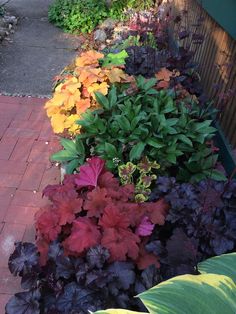 colorful flowers line the side of a brick walkway