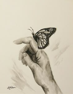 a drawing of a hand holding a butterfly