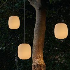 four lights hanging from a tree at night