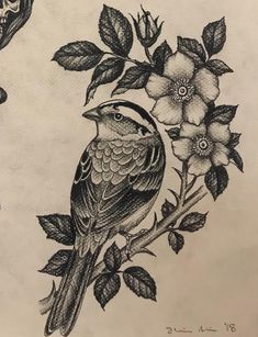 a drawing of a bird on a branch with flowers