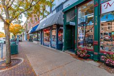 an empty sidewalk in front of a store with many flowers on the ground and trees