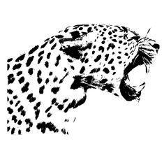 a black and white drawing of a cheetah's head with its mouth open