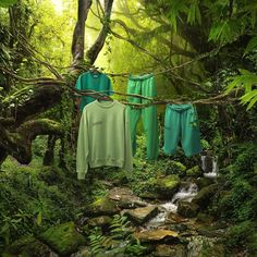 clothes hanging out to dry in the woods next to a stream and waterfall with mossy rocks