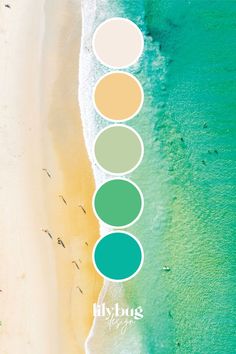 an aerial view of the beach with people in the water and three different colors on it