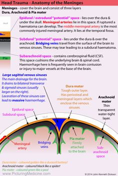 the anatomy of an eye and how it is used to help you know what's inside