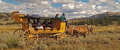 people riding in a yellow horse drawn carriage