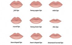 Every woman has a different type of lip. Your makeup should be based on your lip type in order to accentuate its features. In this article, we have listed the different types of lips and how you can take care of them. You will also find various temporary and permanent surgical options you can try if you want to change your lip shape. Homemade Garden Decorations, Increase Height Exercise, Lip Types, Types Of Kisses, February Nails, Working Mom Tips, Nose Shapes, Learn Yoga