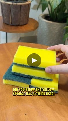 2.1M views · 31K reactions | Yellow Sponge Hacks 🤩 | Yellow Sponge Hacks 🤩 | By My Tips Book | Facebook Sponge Hacks, Household Management, Scrub Sponge, Kitchen Cleaning Hacks, Laundry Hacks, Hacks Diy, Wrinkle Remover