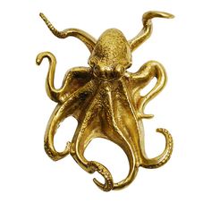 an octopus brooch is shown against a white background