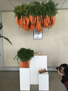 a person taking a photo of carrots hanging from the ceiling