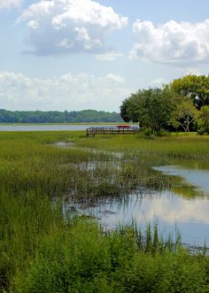 there is a boat that is in the water near some grass and trees on the shore