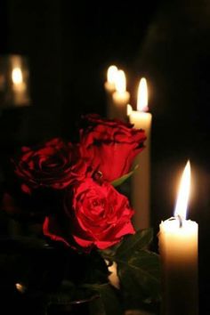 three candles are lit with red roses in the dark