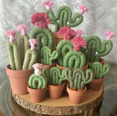 there are many small cactus plants in the potted planters on the table together