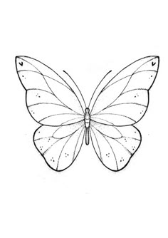 a drawing of a butterfly that is drawn in the shape of a butterfly with wings spread out