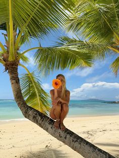 a woman sitting on top of a palm tree next to the ocean with an orange flower in her mouth