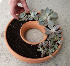 a person placing plants in a pot on top of the ground to make a wreath