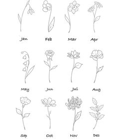 flowers are drawn in the shape of zodiacs and their names on white paper with black ink