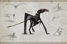 a drawing of a black dragon with wings and claws on it's back legs