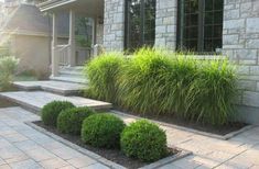 a house with stone steps leading to the front door and grass growing on the side