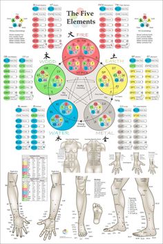 Healthcare Poster, Acupuncture Points Chart, Liver Care, Point Acupuncture, The Five Elements, Five Elements, Energy Healing Spirituality, Energy Medicine, Acupuncture Points