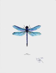 a blue dragonfly sitting on top of a white surface