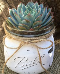 a mason jar with a succulent plant in it