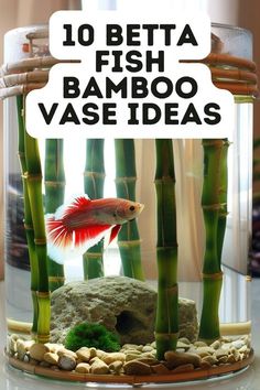 a fish in a glass bowl with rocks and bamboo trees behind it, text reads 10 betta fish bamboo vase ideas