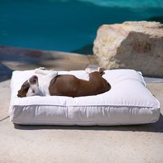 Raine Outdoor Floor Pillow® - Animals Matter Outdoor Futon, Indoor Dog Bed, Outdoor Dog Beds, Bed Options, Outdoor Pet Bed, Outdoor Dog Bed, Dog Mommy, Japanese Dogs, Outdoor Beds