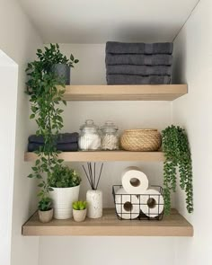 bathroom shelves with towels, plants and toilet paper