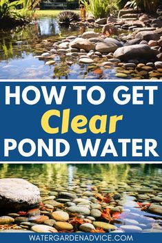 the words how to get clear pond water in blue and yellow with rocks on it